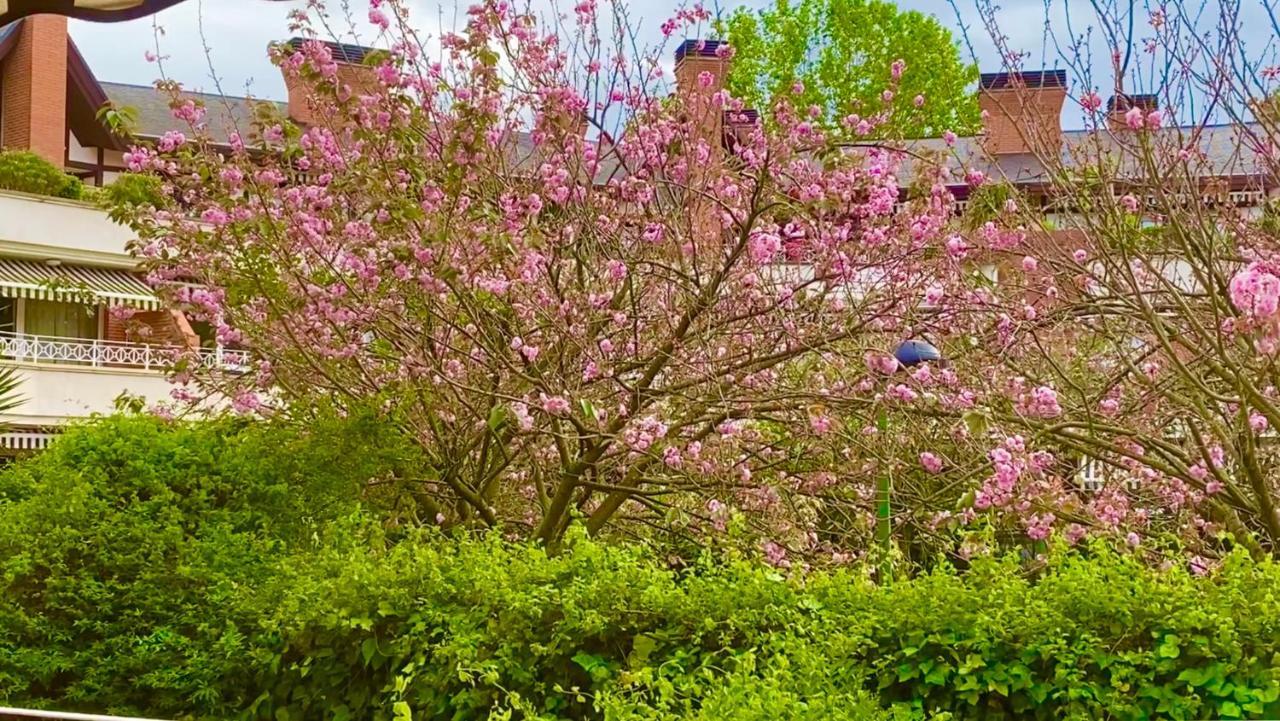 Apartamento Con Jardin Getxo Luaran gambar